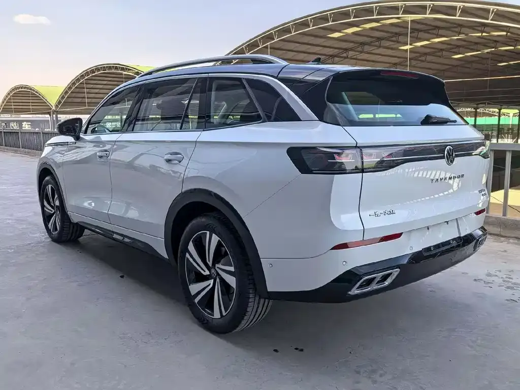 Volkswagen Tavendor 2023 из CN, фото 4