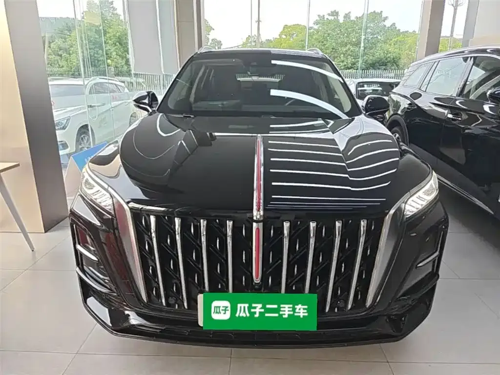 Hongqi HS5 2023 из CN, фото 10
