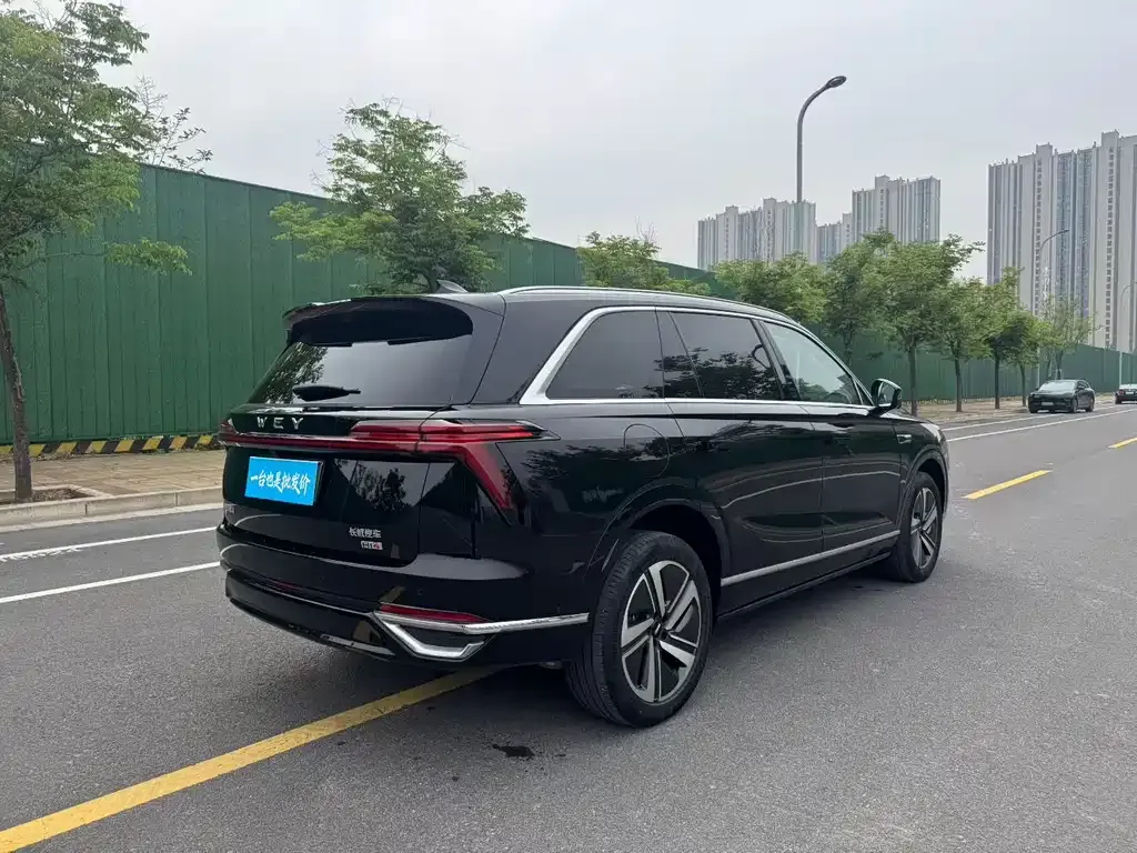 Wey Lanshan 2025 из CN, фото 8