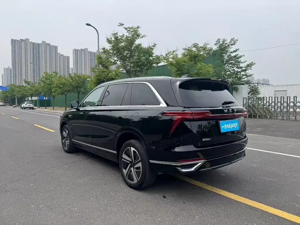 Wey Lanshan 2025 из CN, фото 6