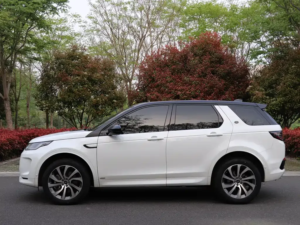 Land Rover Discovery Sport 2021 из CN, фото 7