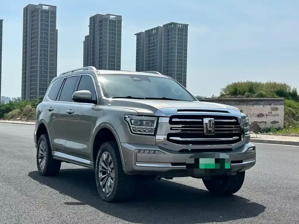 Tank 500 New Energy 2024 из CN, фото 10