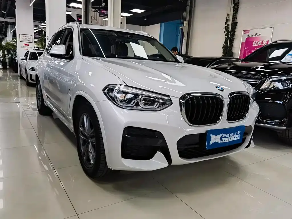 BMW X3 2021 из CN, фото 4