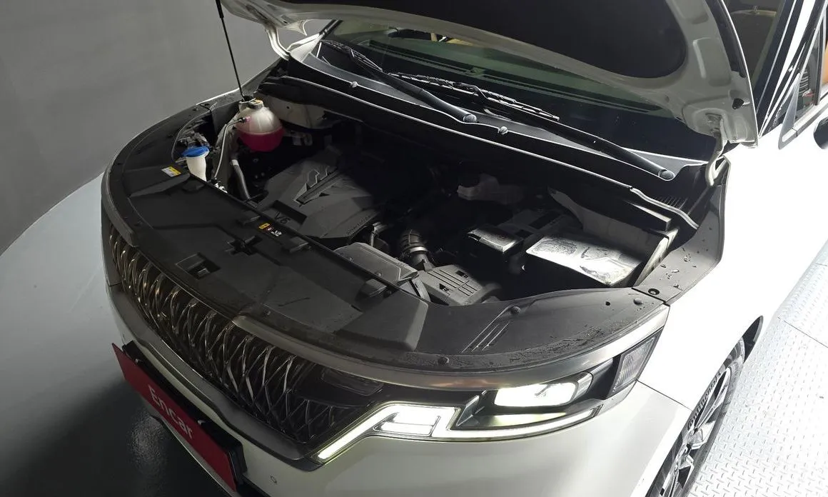 Kia Carnival — фото 10