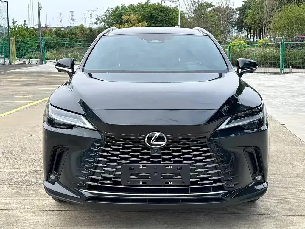 Lexus RX — фото 4