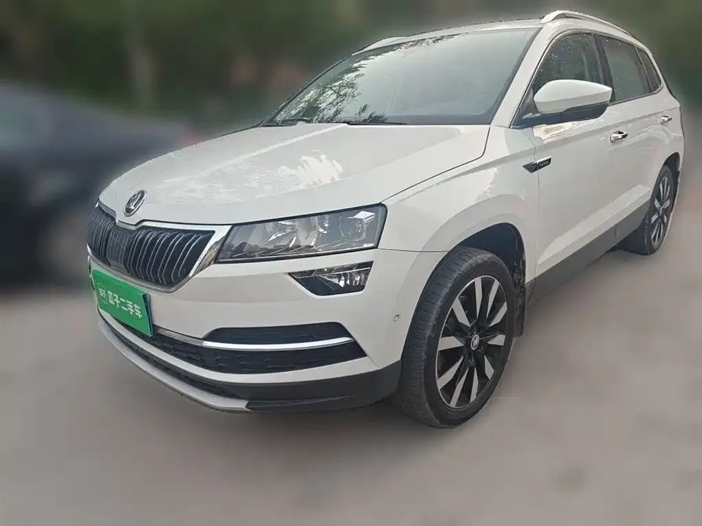 Skoda Karoq 2021 из CN, фото 5