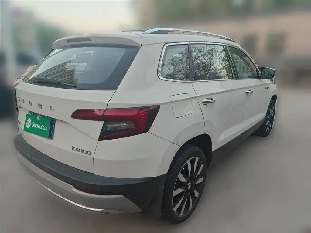 Skoda Karoq 2021 из CN, фото 7