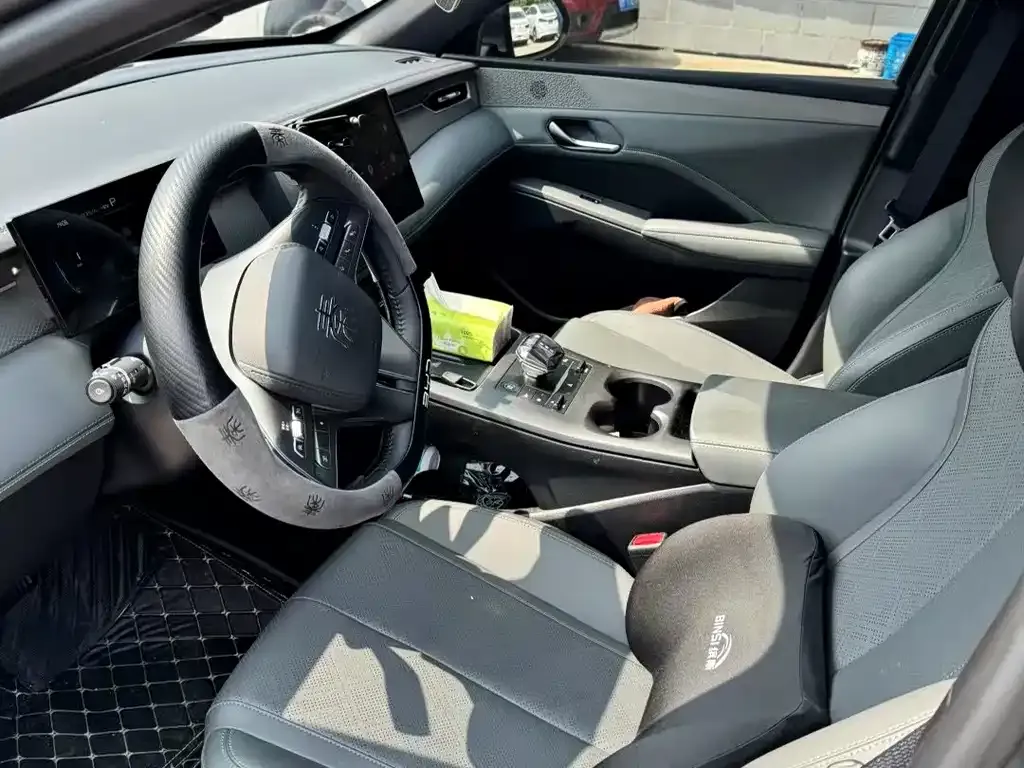 BYD Qin PLUS 2025 из CN, фото 4