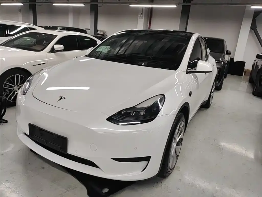 Tesla Model Y — фото 1