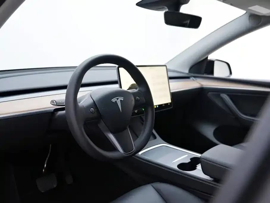 Tesla Model Y — фото 9