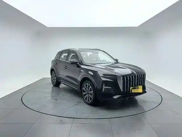 Hongqi HS5 2023 из CN, фото 8