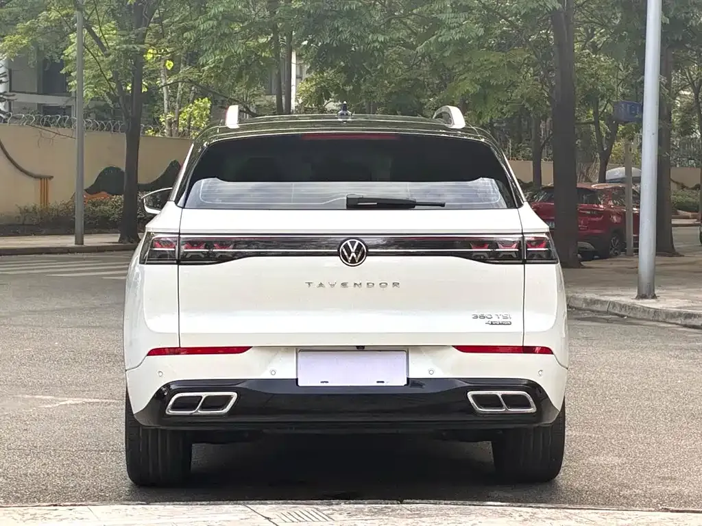 Volkswagen Tavendor 2023 из CN, фото 4