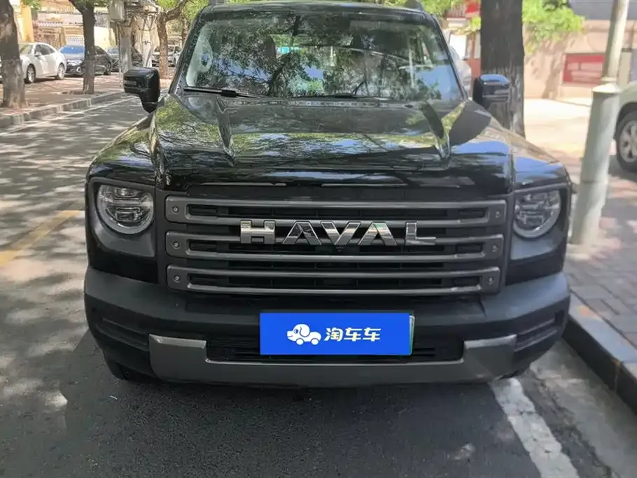 Haval Menglong New Energy 2023 из CN, фото 6