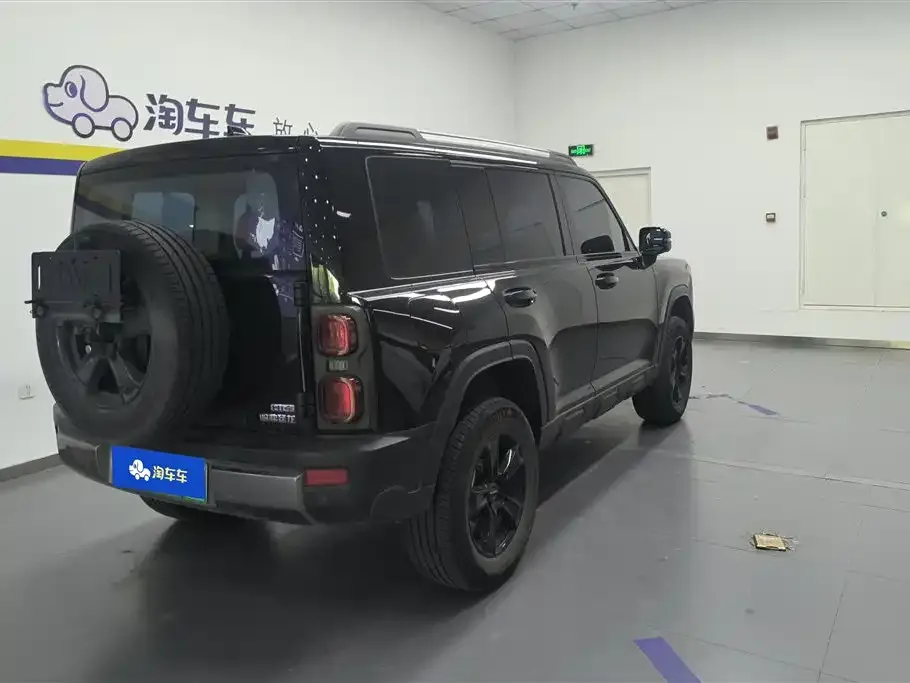 Haval Menglong New Energy 2023 из CN, фото 2