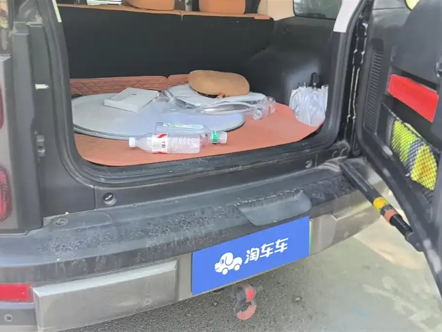 Haval Menglong New Energy 2023 из CN, фото 7
