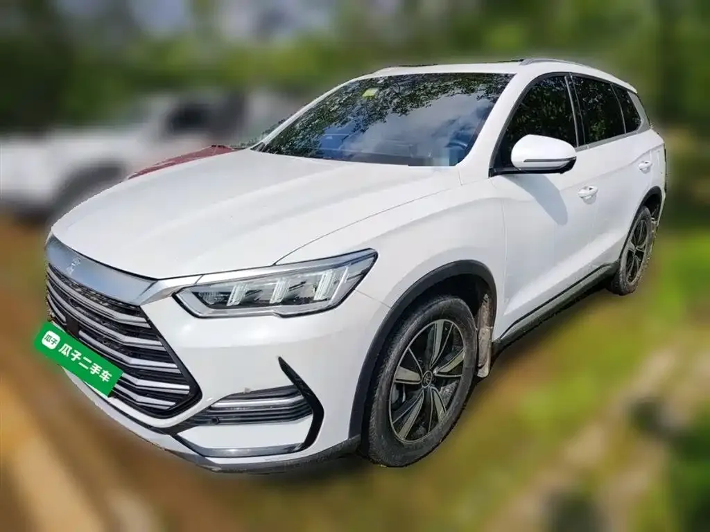 BYD Pro New Energy 2023 из CN, фото 1