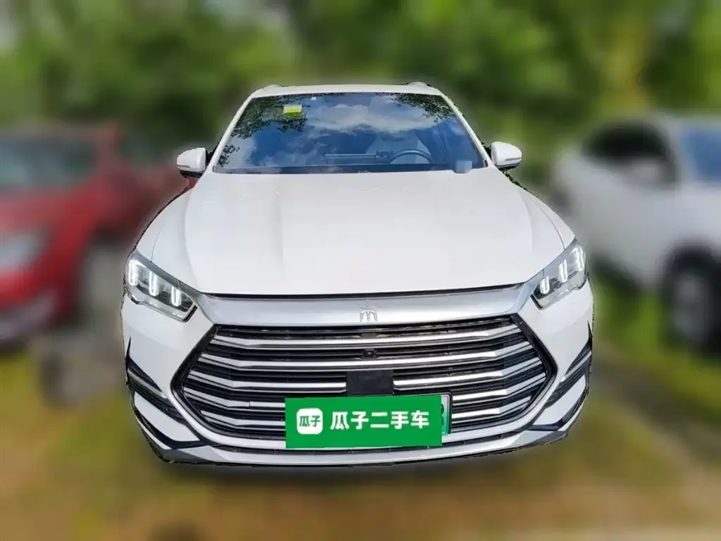BYD Pro New Energy 2023 из CN, фото 9