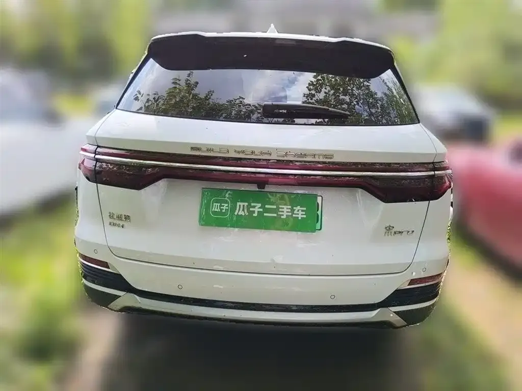 BYD Pro New Energy 2023 из CN, фото 7