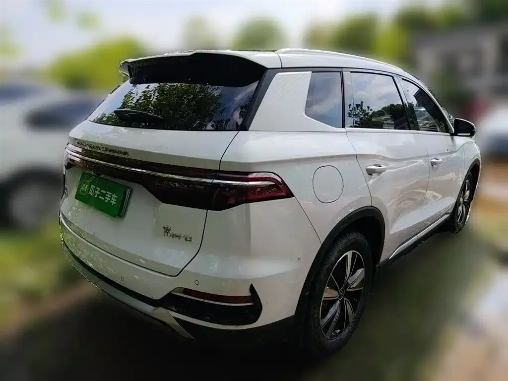 BYD Pro New Energy 2023 из CN, фото 3