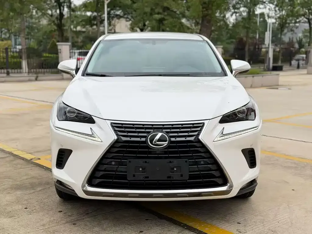 Lexus NX 2021 из CN, фото 3