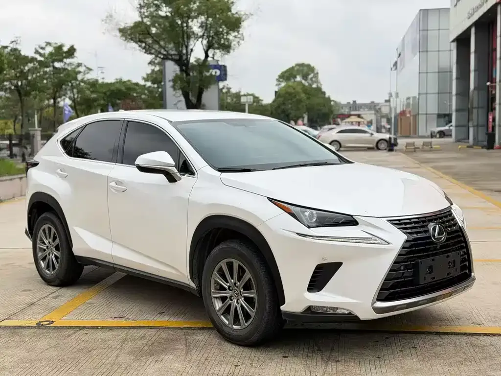 Lexus NX 2021 из CN, фото 7