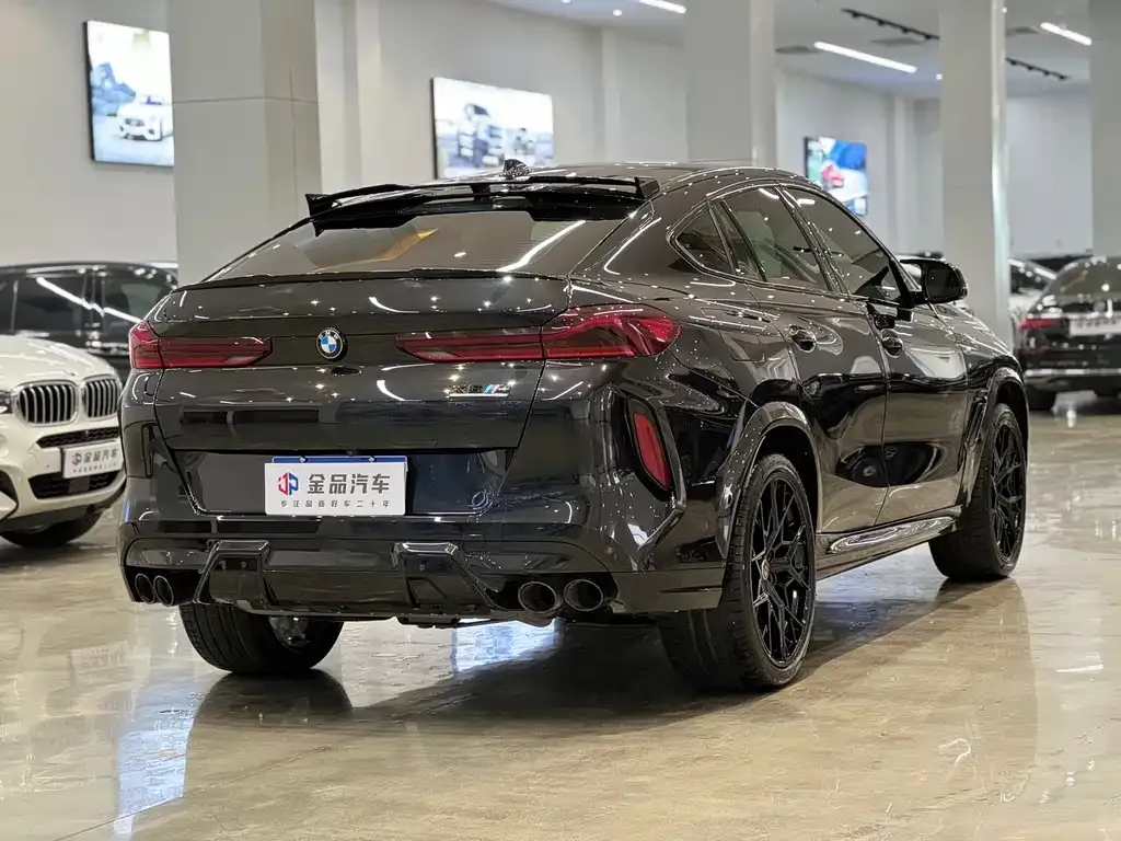 BMW X6 — фото 2