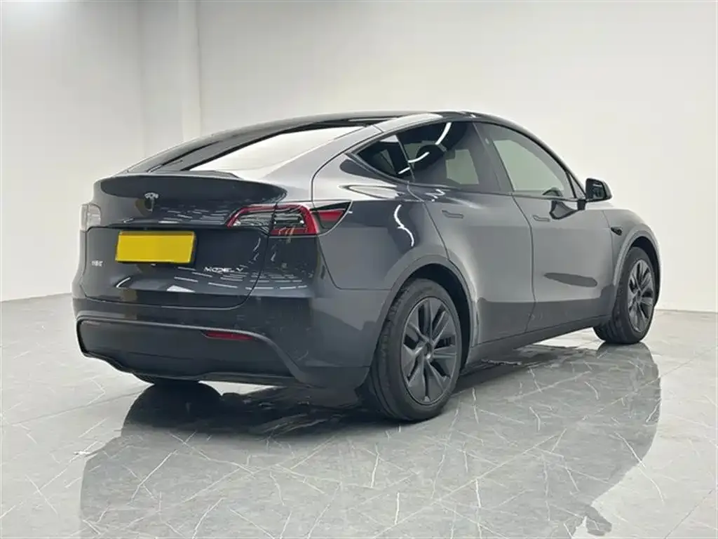 Tesla Model Y — фото 5