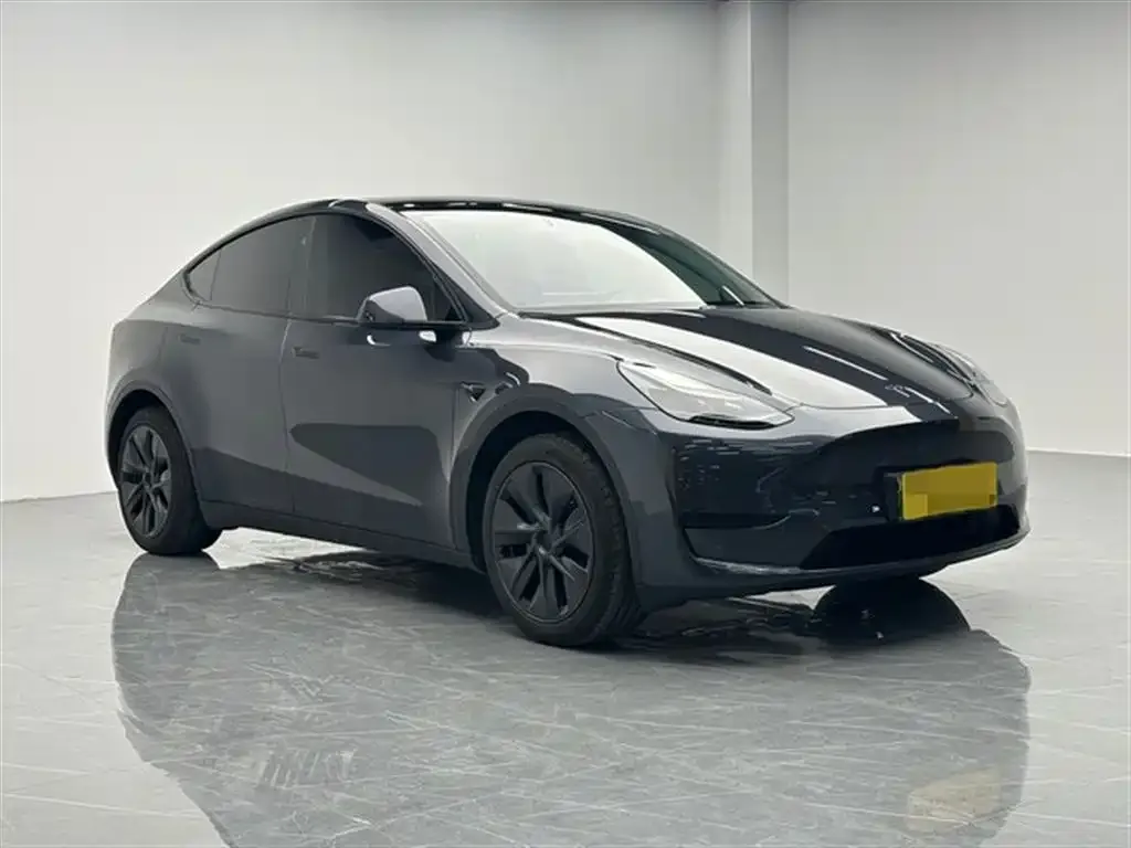 Tesla Model Y — фото 6