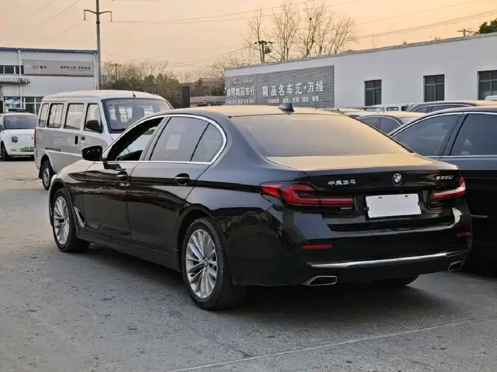 BMW 5 Series 2021 из CN, фото 5