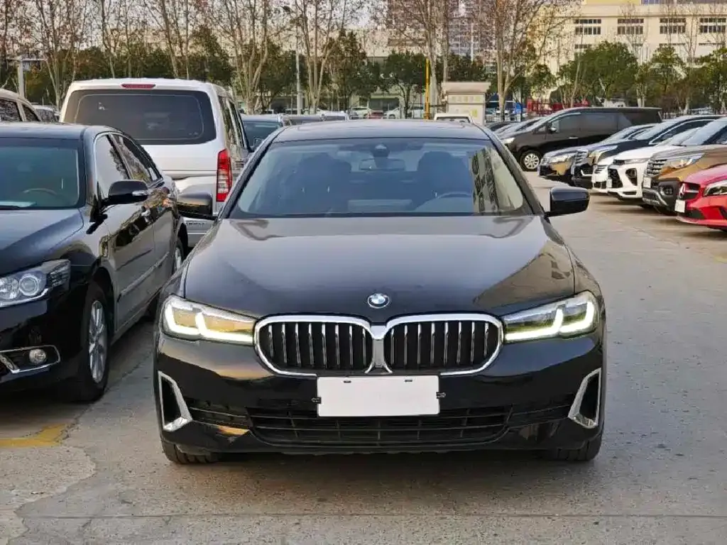 BMW 5 Series 2021 из CN, фото 6