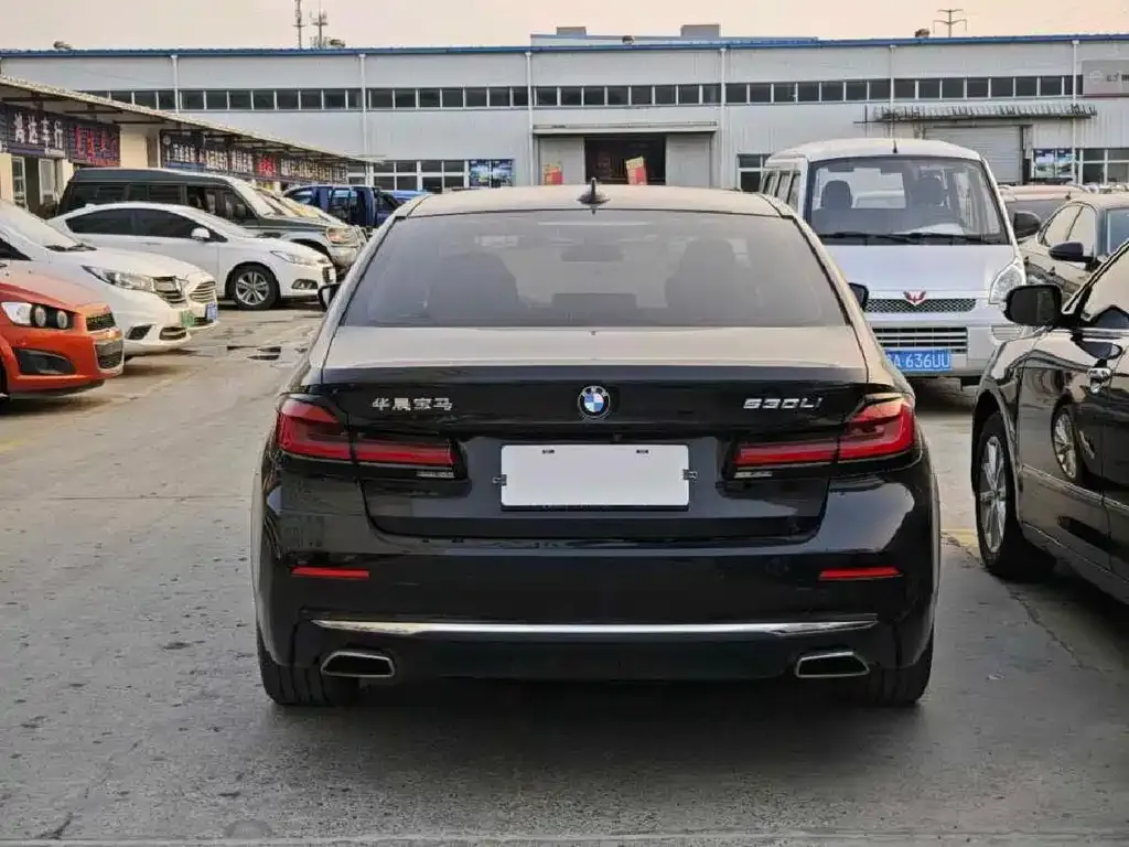 BMW 5 Series 2021 из CN, фото 2