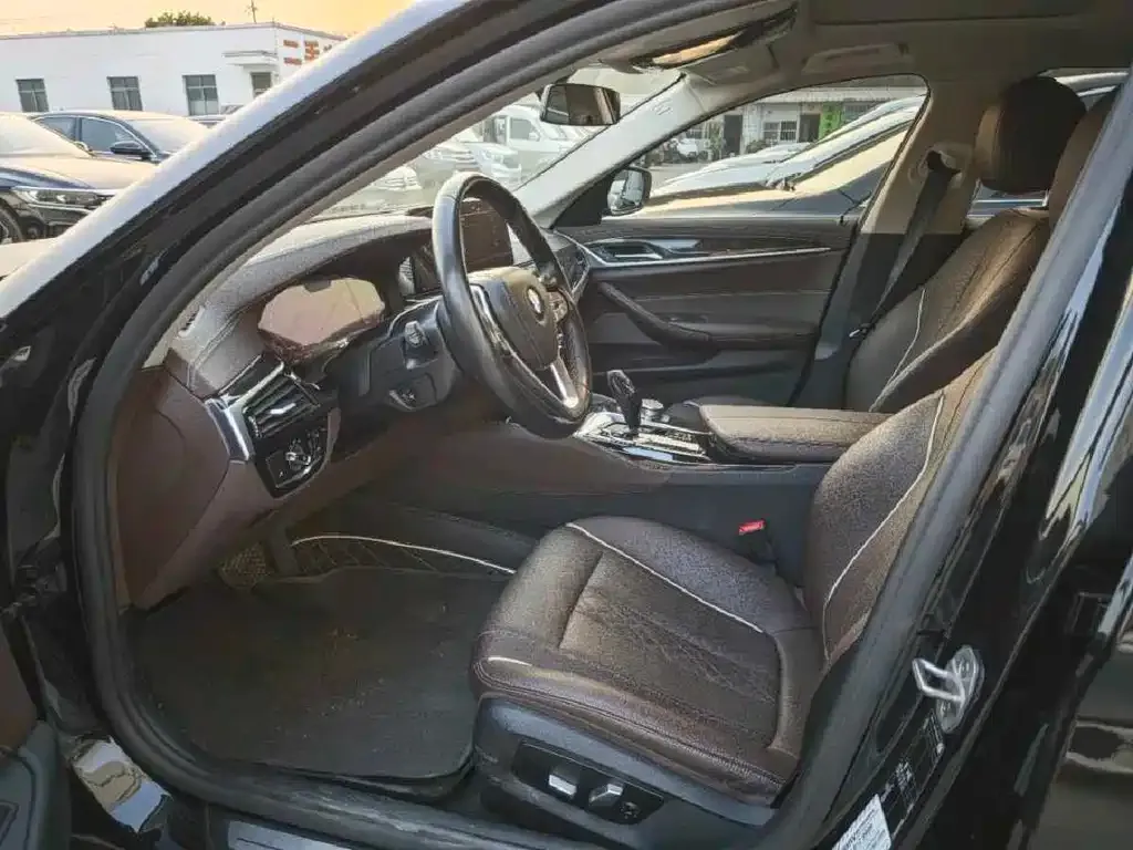 BMW 5 Series 2021 из CN, фото 7