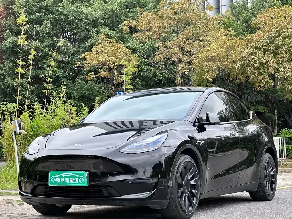 Tesla Model Y — фото 1
