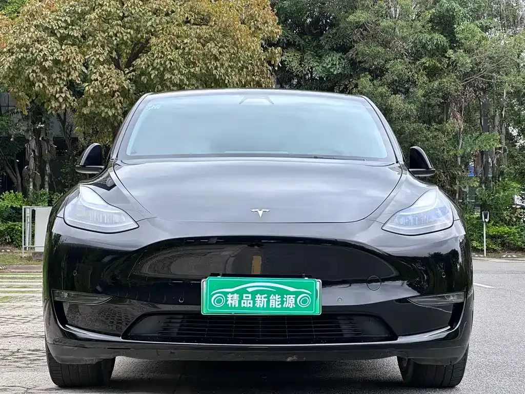 Tesla Model Y — фото 8