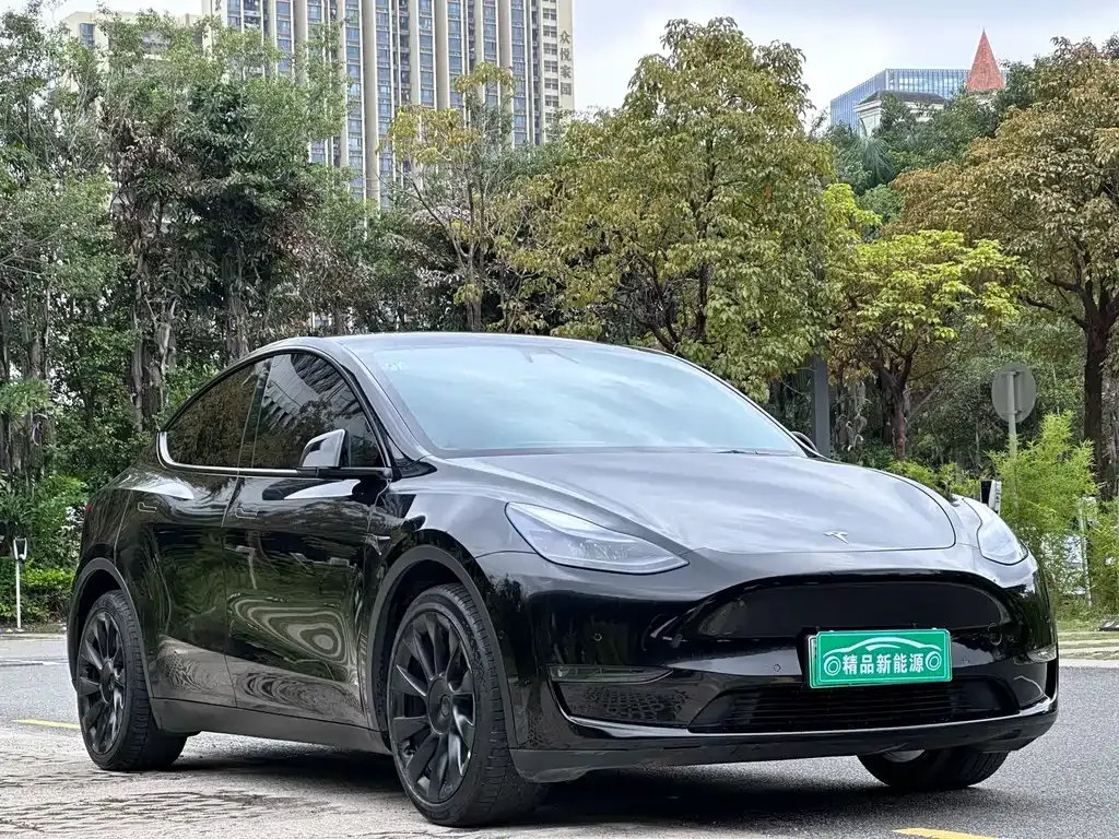 Tesla Model Y — фото 9