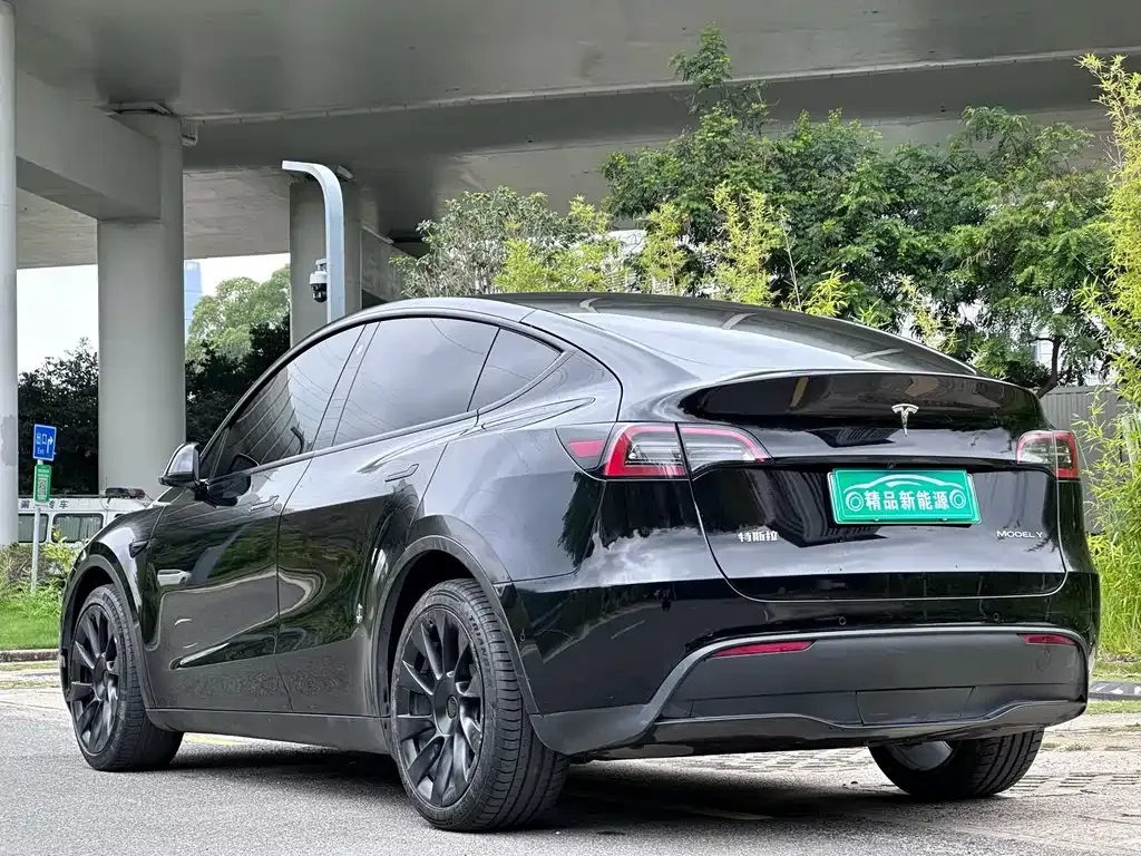Tesla Model Y — фото 5