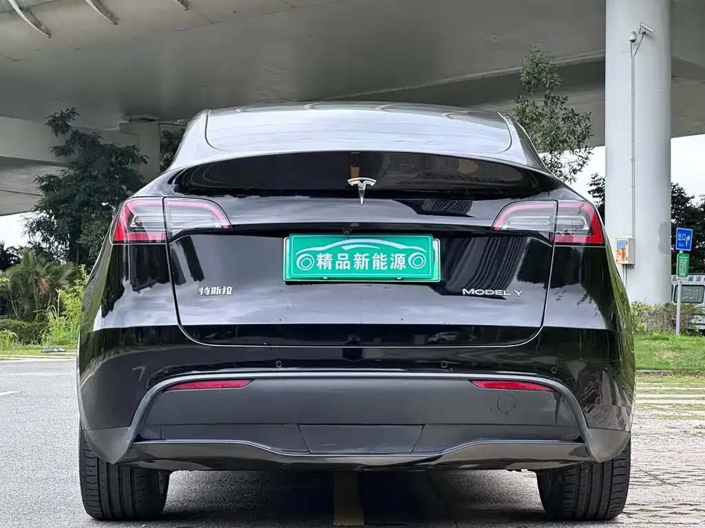 Tesla Model Y — фото 10