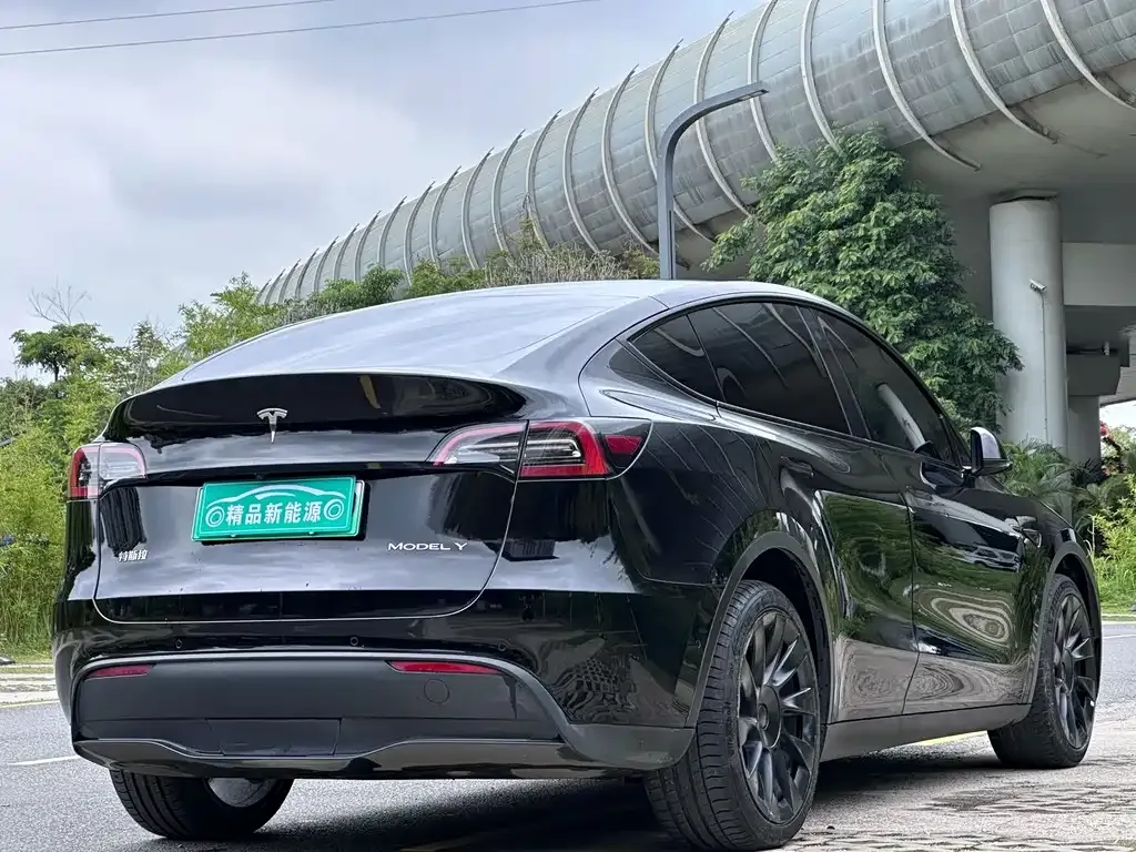 Tesla Model Y — фото 6