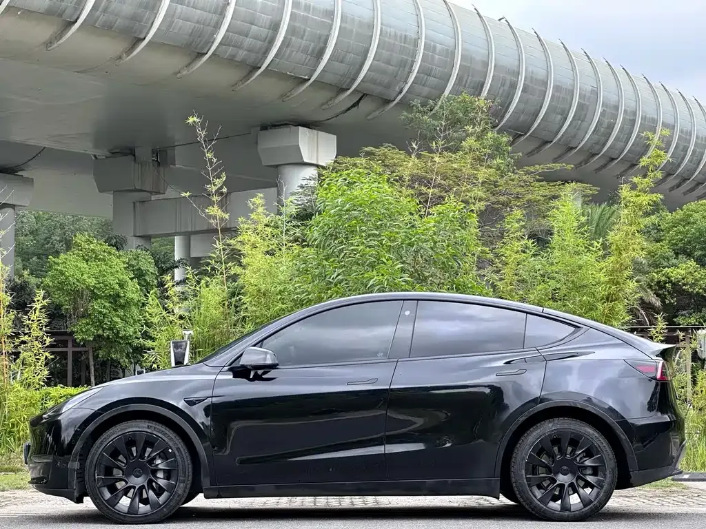 Tesla Model Y — фото 4