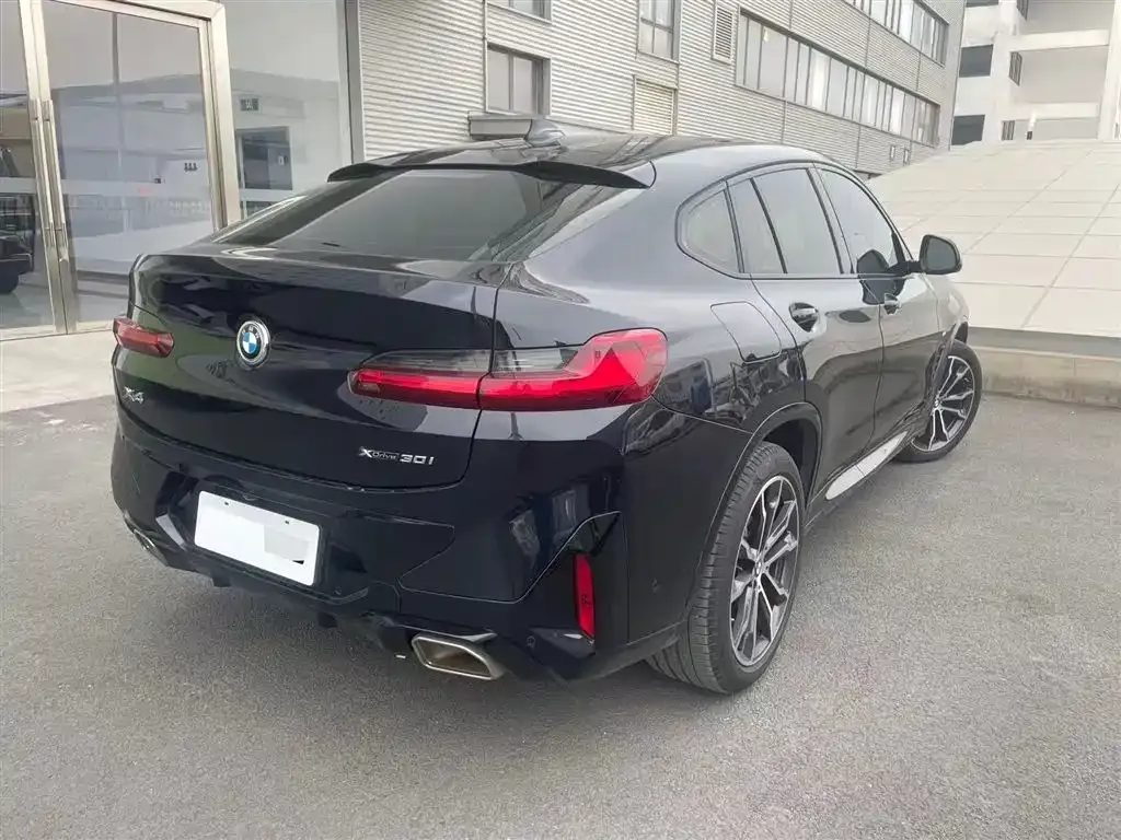 BMW X4 2022 из CN, фото 4