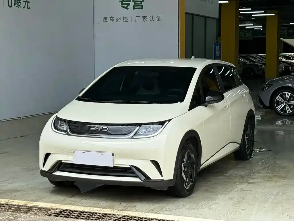 BYD Dolphin 2025 из CN, фото 1