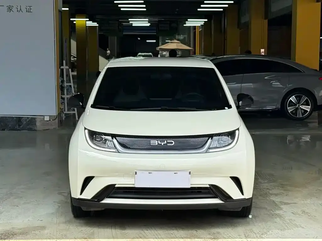 BYD Dolphin 2025 из CN, фото 3