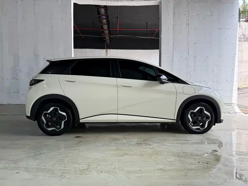 BYD Dolphin 2025 из CN, фото 8