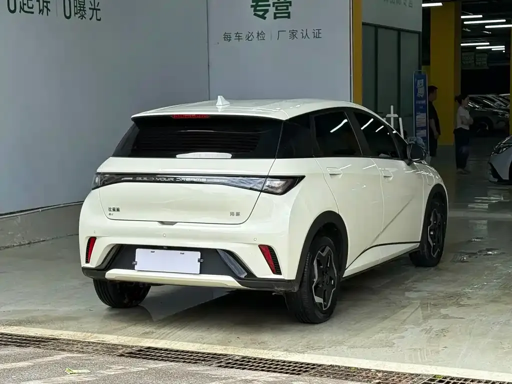 BYD Dolphin 2025 из CN, фото 4