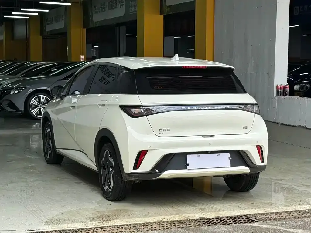 BYD Dolphin 2025 из CN, фото 6