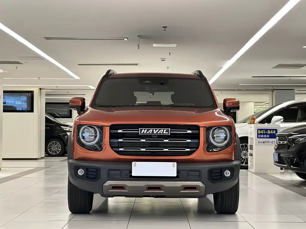 Haval Big Dog — фото 5