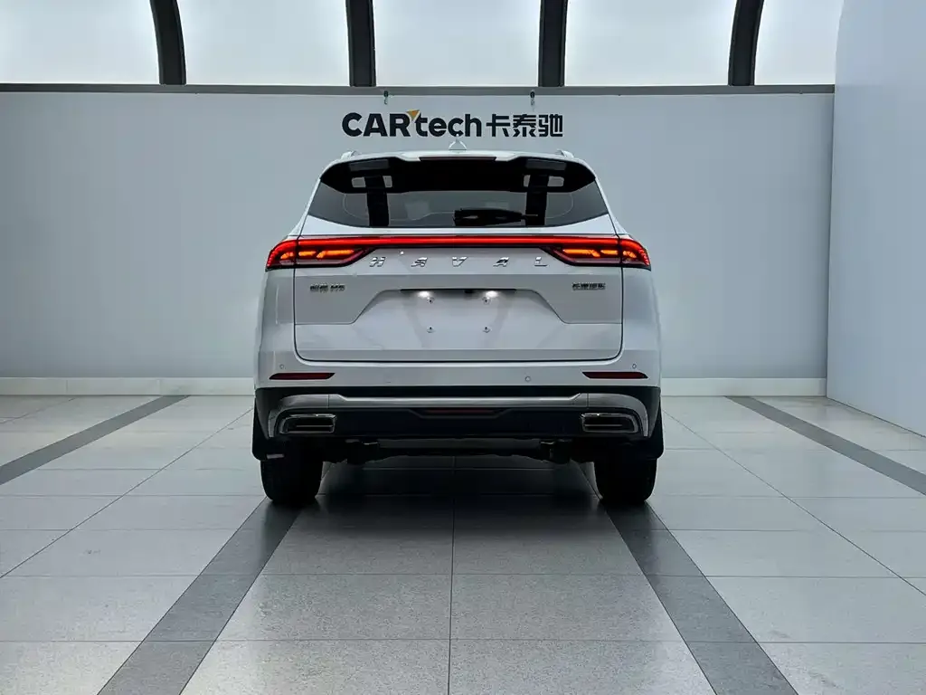 Haval H6 2023 из CN, фото 4