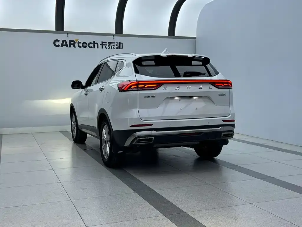 Haval H6 2023 из CN, фото 6