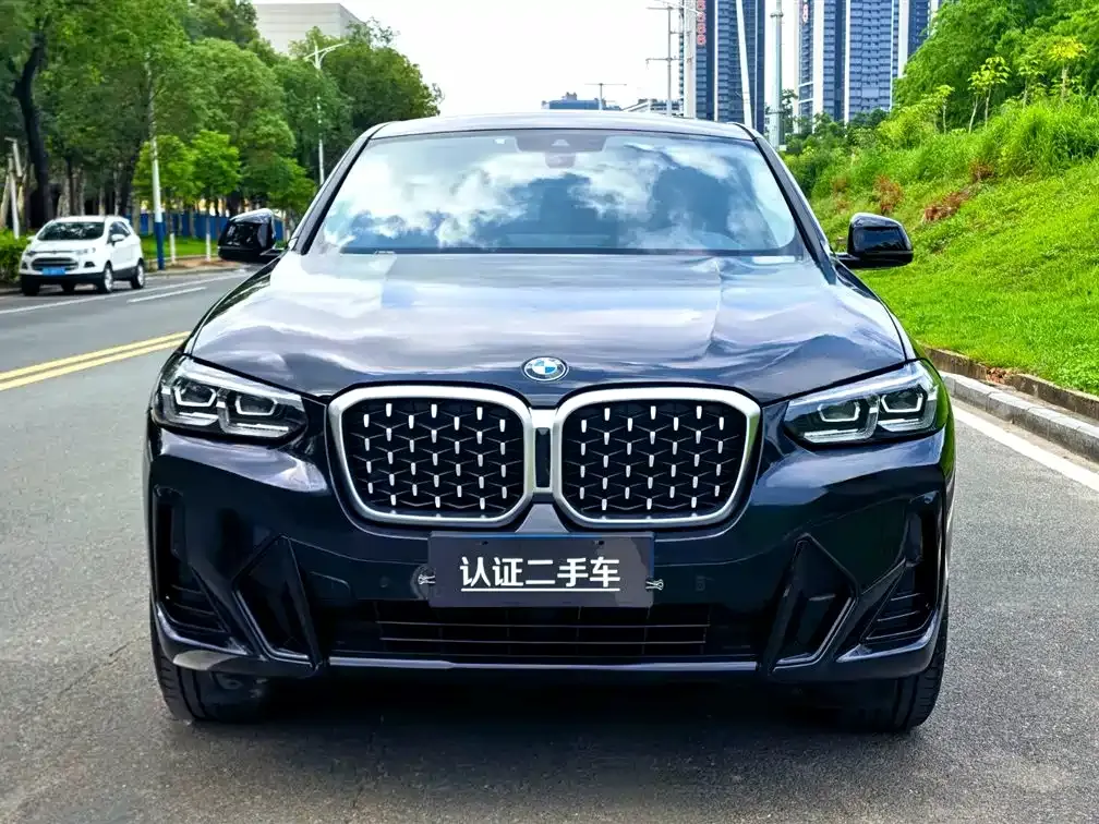 BMW X4 2022 из CN, фото 9