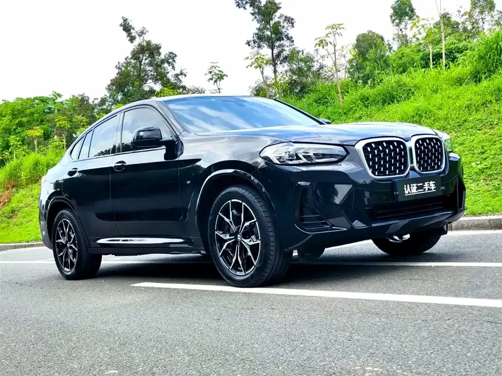 BMW X4 2022 из CN, фото 6